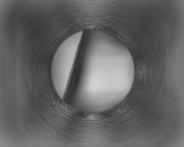 X0000054380657200507290858