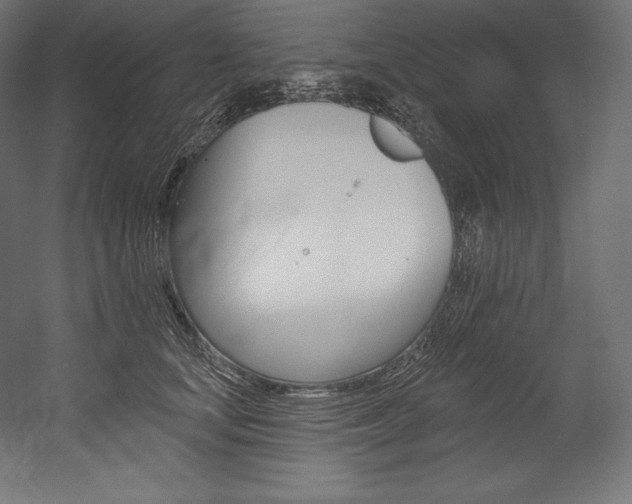 X0000054380659200507290858