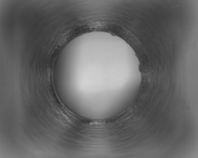 X0000054380660200507290858