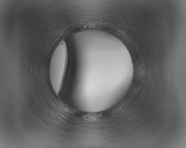 X0000054380661200507290858