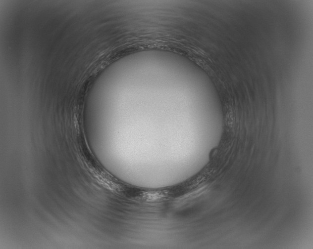 X0000054380662200507290858