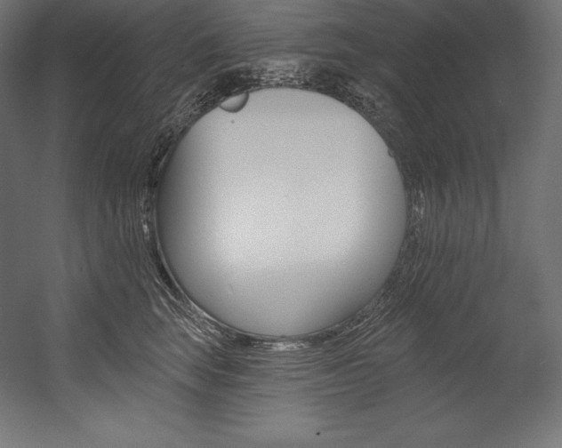 X0000054380663200507290858