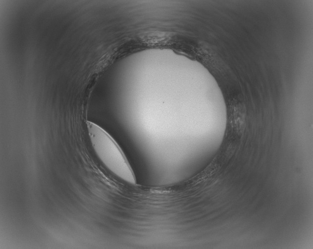X0000054380664200507290858