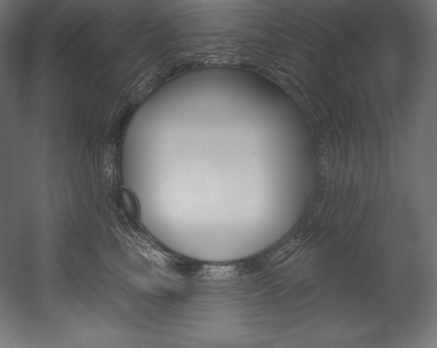 X0000054380665200507290858