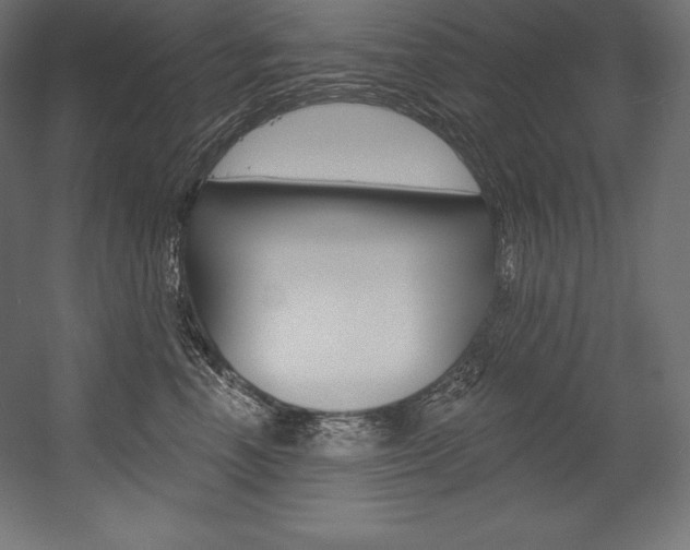 X0000054380666200507290858