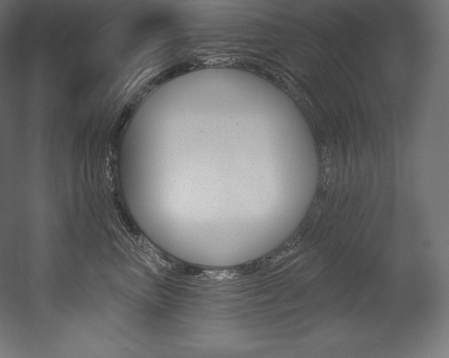 X0000054380667200507290858