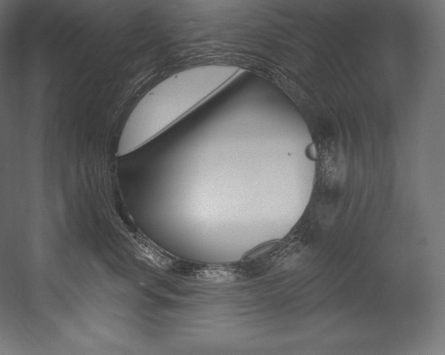 X0000054380668200507290858