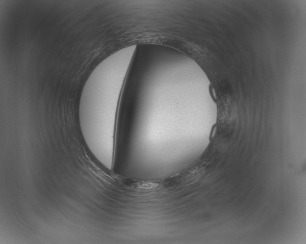 X0000054380669200507290858