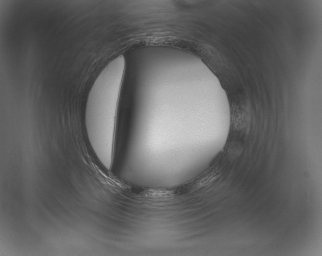 X0000054380670200507290858