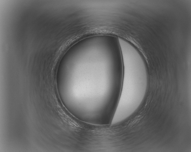 X0000054380673200507290857