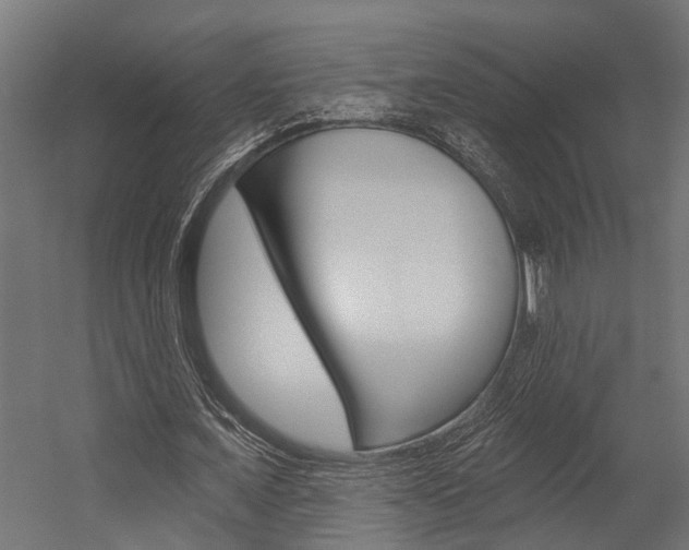 X0000054380675200507290857
