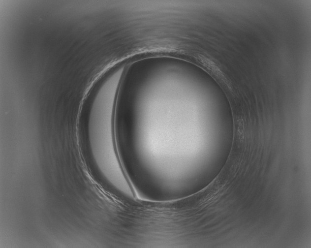 X0000054380676200507290857
