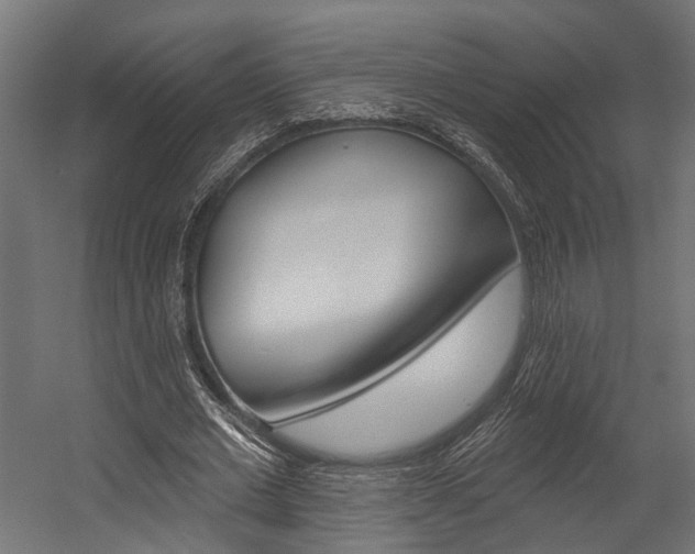 X0000054380677200507290857