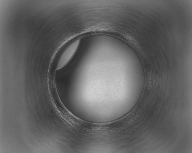 X0000054380680200507290857