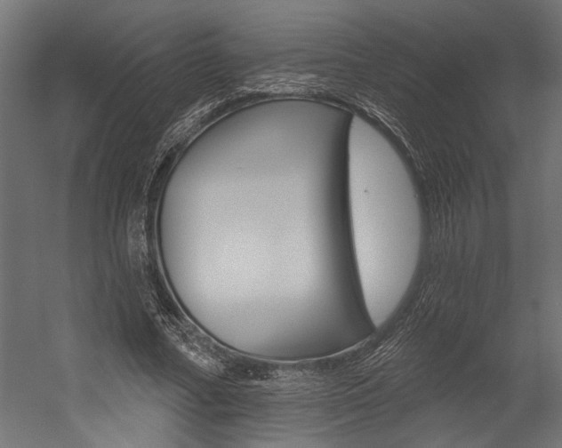 X0000054380682200507290857