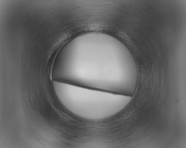 X0000054380683200507290857