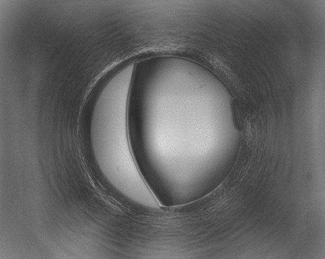 X0000054380684200507290857