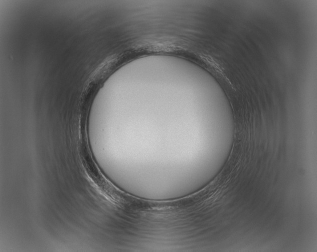X0000054380686200507290857