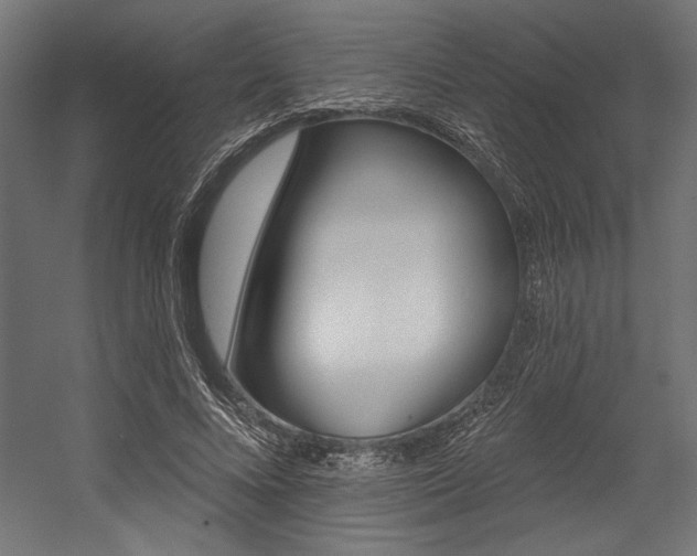 X0000054380688200507290857