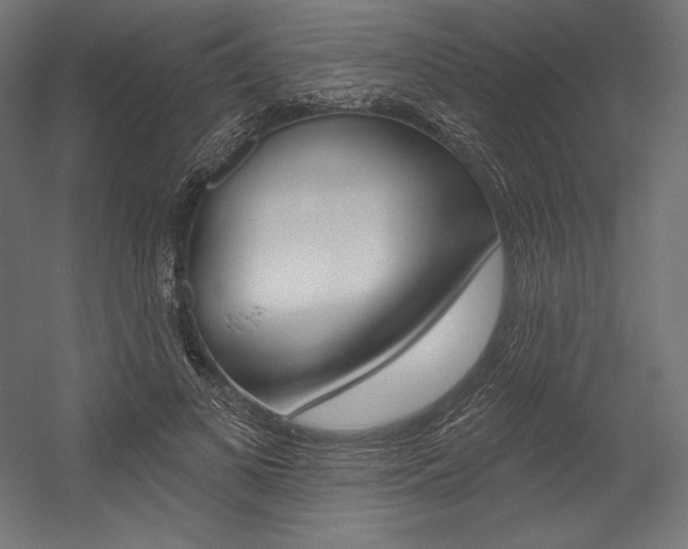 X0000054380693200507290857