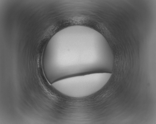 X0000054380694200507290857
