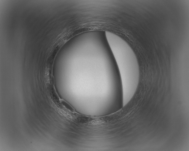 X0000054380696200507290857