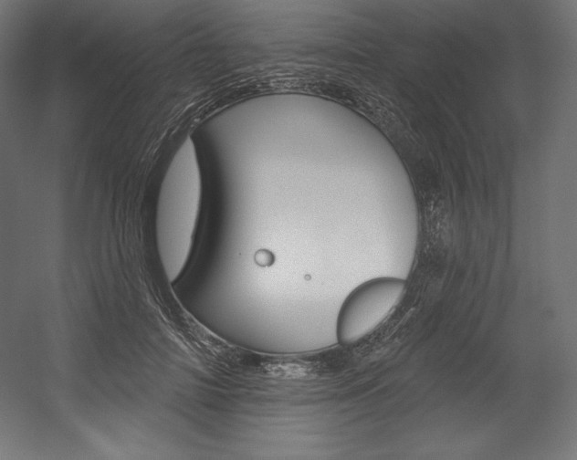 X0000054380698200507290857