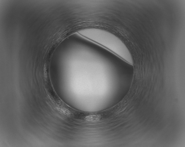 X0000054380700200507290857
