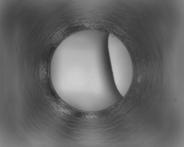 X0000054380702200507290857