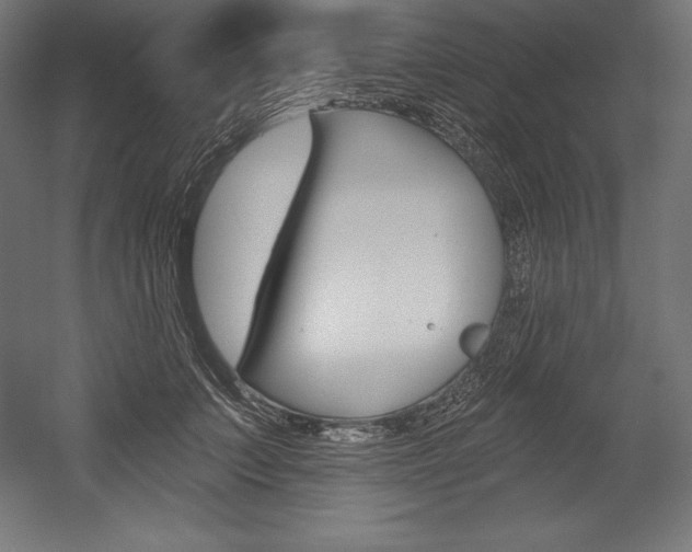 X0000054380703200507290857