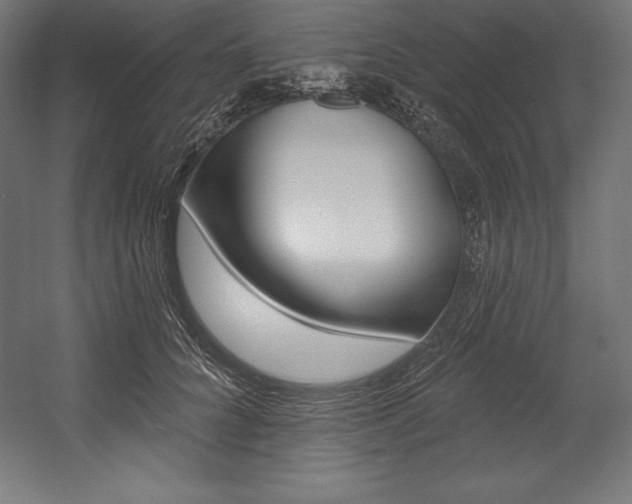 X0000054380704200507290857