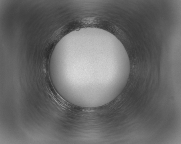 X0000054380710200507290857