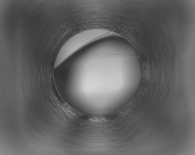 X0000054380712200507290857