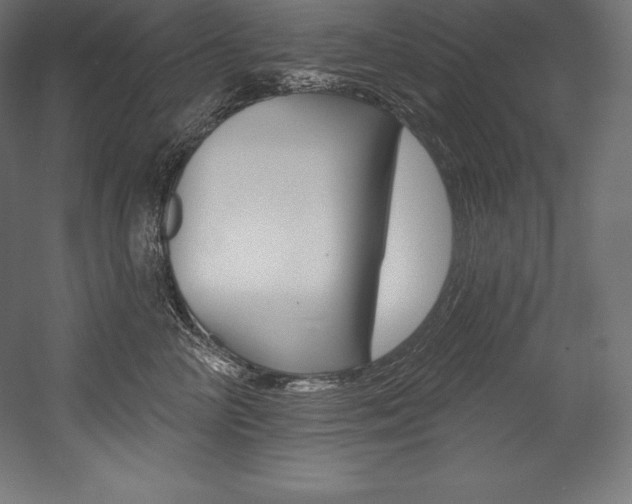 X0000054380714200507290857