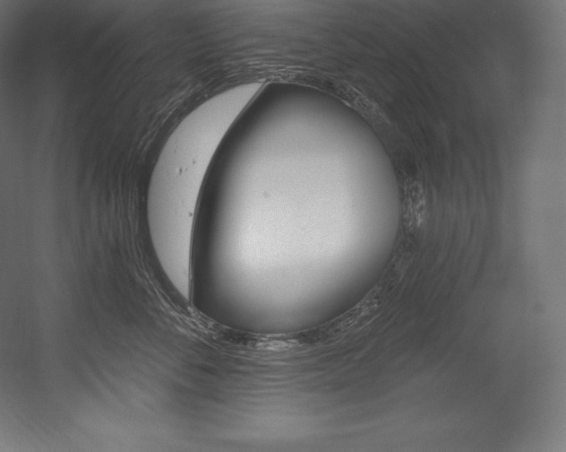 X0000054380716200507290857