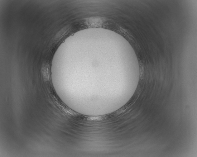X0000054380717200507290857