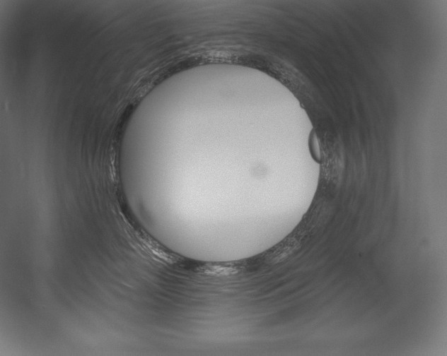 X0000054380718200507290857