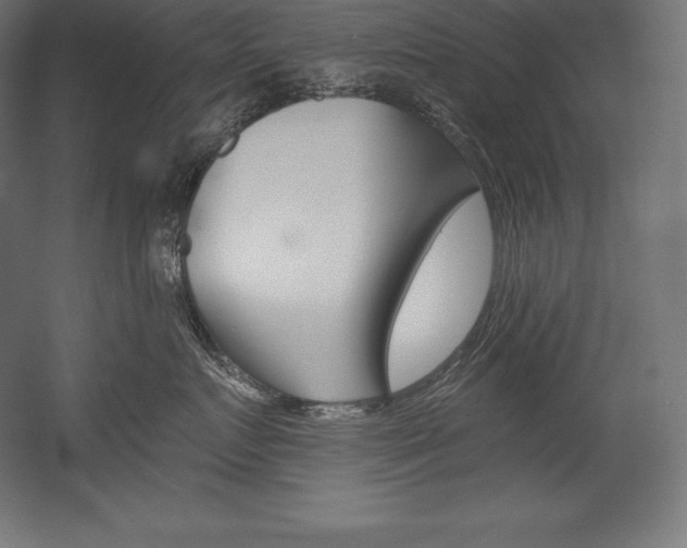 X0000054380719200507290857