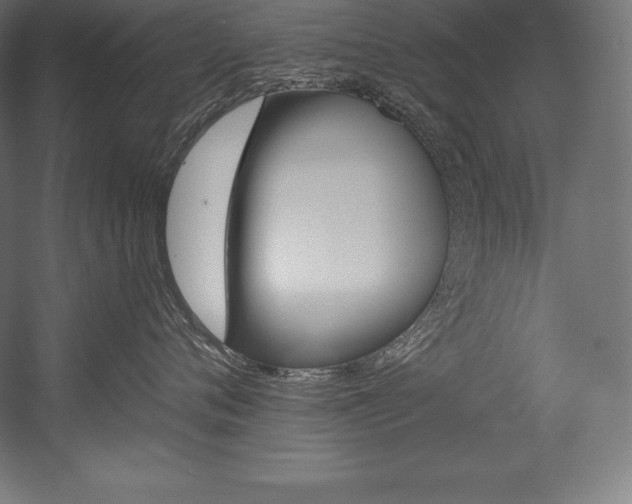 X0000054380720200507290857