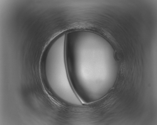 X0000054380722200507290856