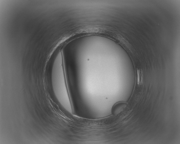 X0000054380723200507290856