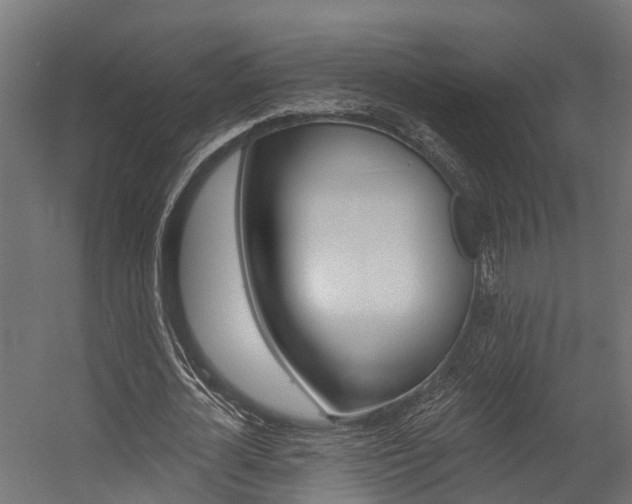 X0000054380724200507290856