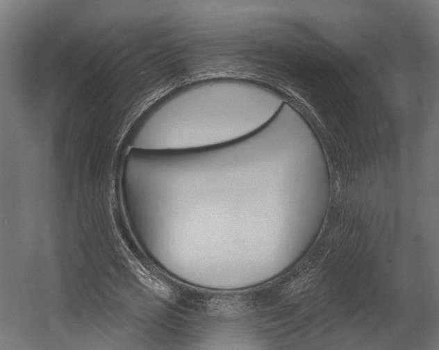 X0000054380725200507290856