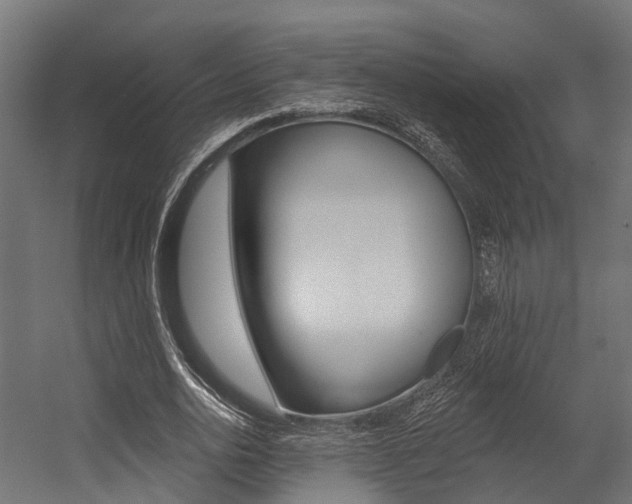 X0000054380726200507290856