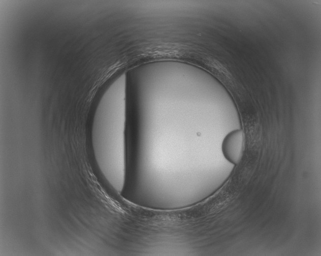 X0000054380729200507290856