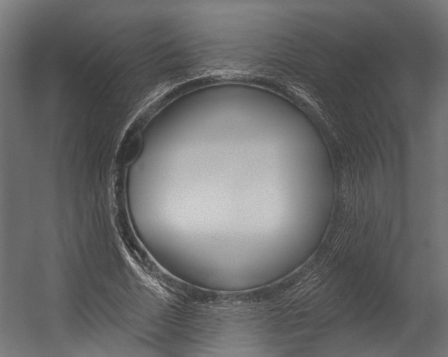 X0000054380730200507290856