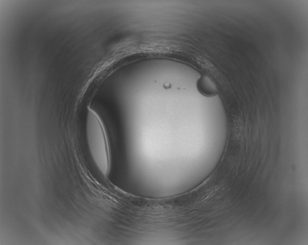 X0000054380731200507290856