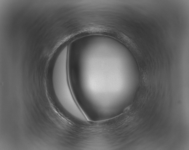 X0000054380732200507290856