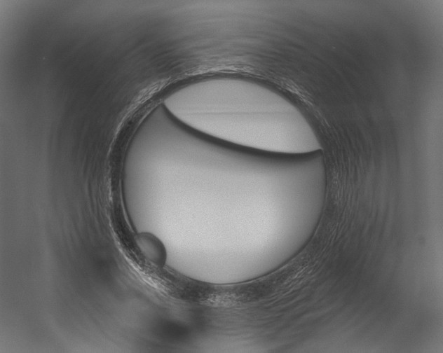 X0000054380734200507290856