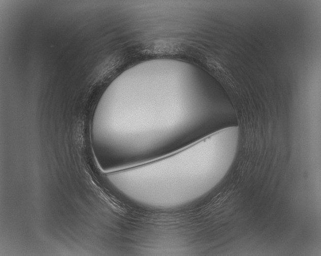 X0000054380735200507290856